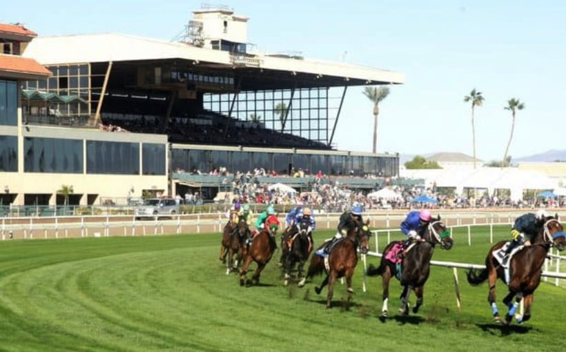 Turf Paradise horse racing track, with horses and jockeys racing on the green turf under blue skies.