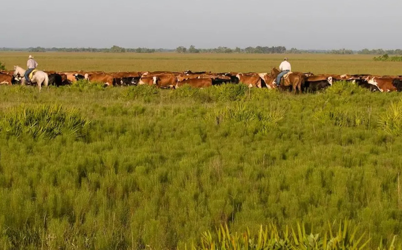 "Huge Central Florida Ranch Sold for Solar Farm Development"