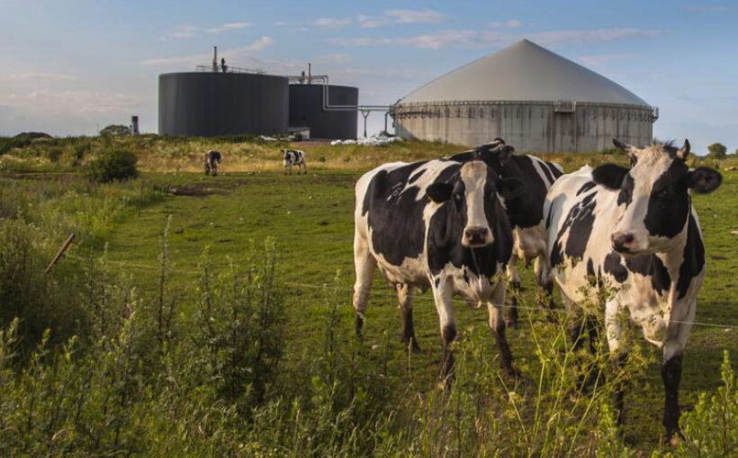 "Walmart to Invest $380M in Waco-Area Milk Processing Plant"