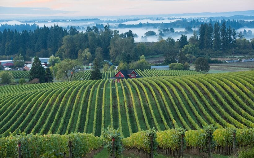 SKB Acquires Land in Oregon Wine Country for Luxury Hotel Development