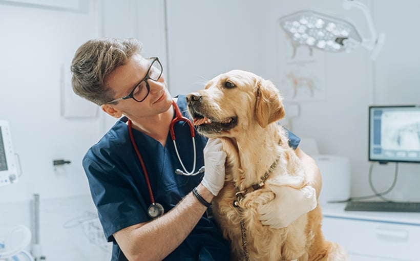 "Exploring the Allure of Veterinary Practice Ownership: An Interview with Daniel Eisenstadt of Terravet"