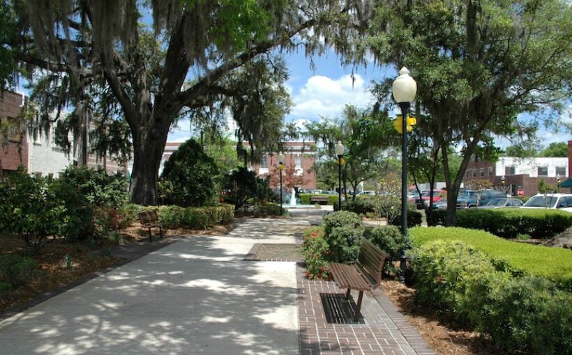 "Development of 7th Publix-Anchored Shopping Center Branch"