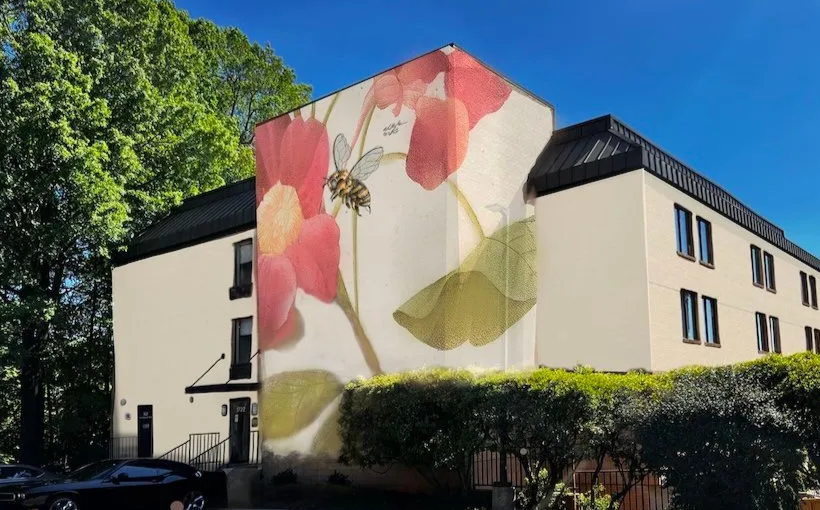 CMC to Open Cary Hotel, with Another Location Planned