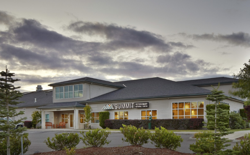 Terramed Grows Through $13 Million Acquisition of Veterinary Facility