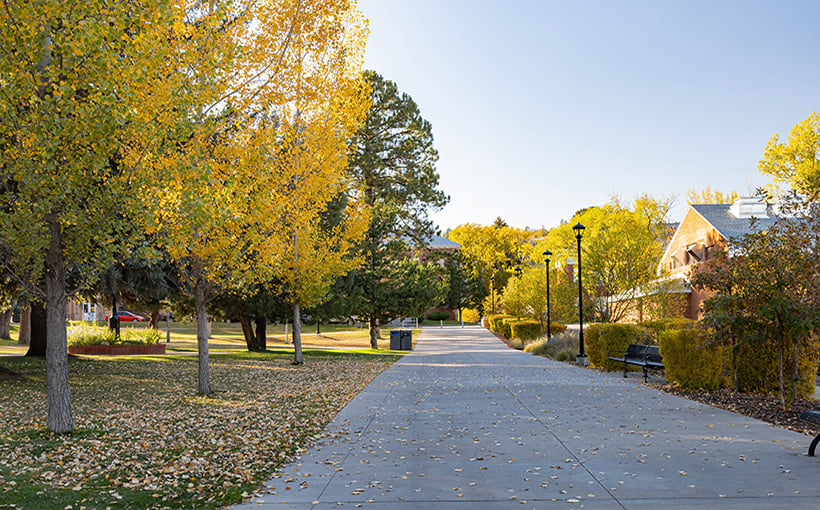 How Placemaking Is Transforming College Campuses