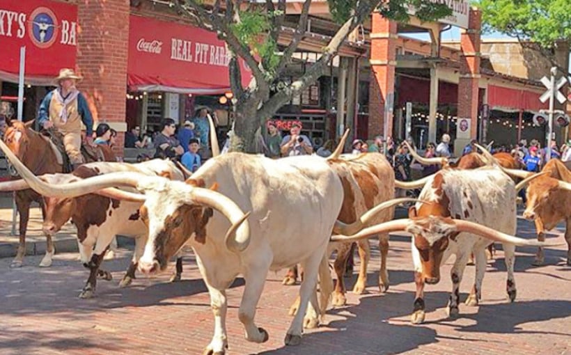 Stockyards Plans $30 Million Renovation