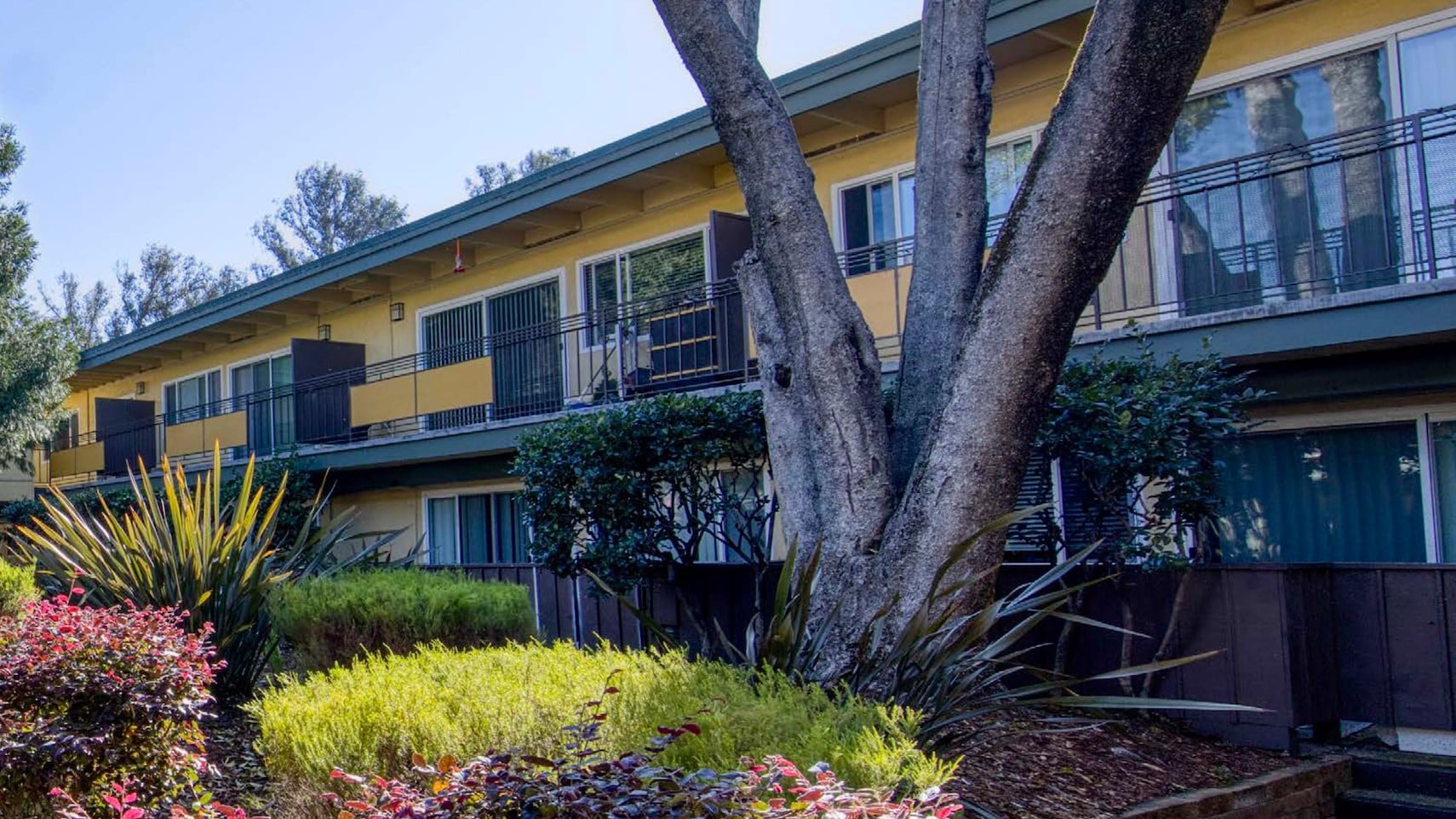 Original Developer Trades Castro Valley Multifamily Duo
